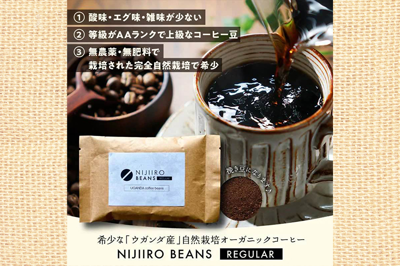 レギュラータイプ/100g×１袋